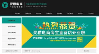 靈貓電商網站建設 助企業進入電商一臂之力