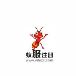 互聯網金融信息服務 變革時代的數據驅動與風險管控